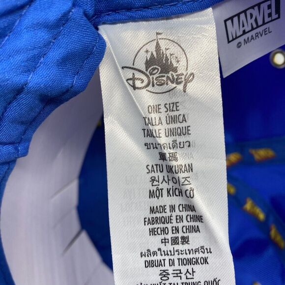 X-Men Disney D23 Expo Exclusive Hat Blue Yellow 2 Pins Marvel Xavier Animated - Picture 13 of 14